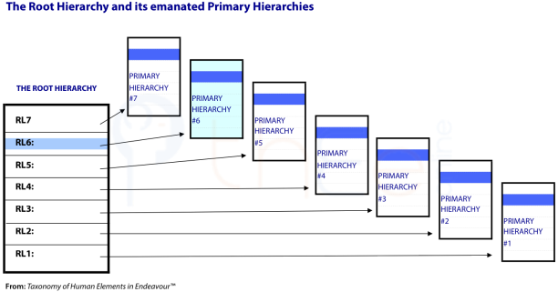 In THEE: the 7 Primary Hierarchies emanated by the levels in the Root Hierarchy.